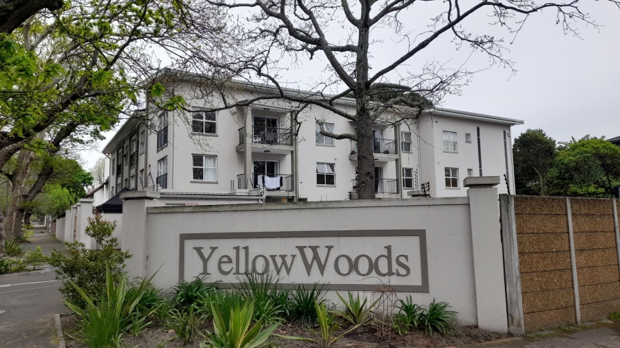 To Let 3 Bedroom Property for Rent in Kenilworth Western Cape